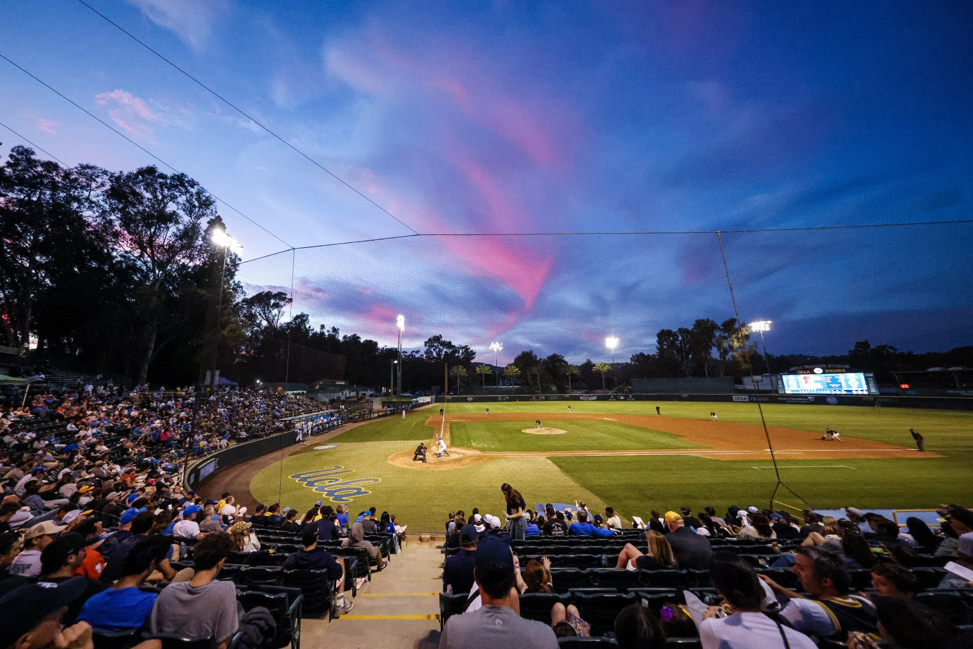 UCLA Bruins